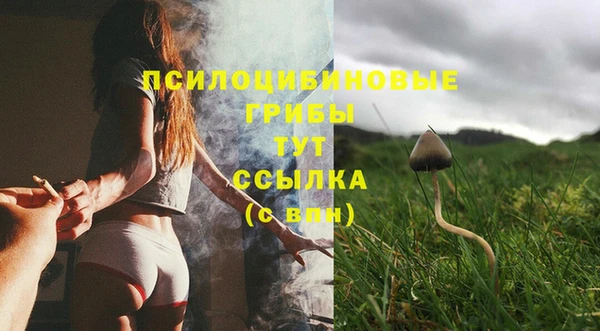 ешки Алзамай