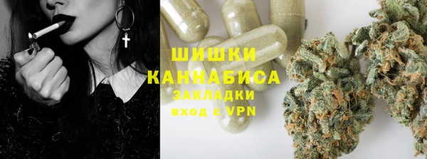 ешки Алзамай