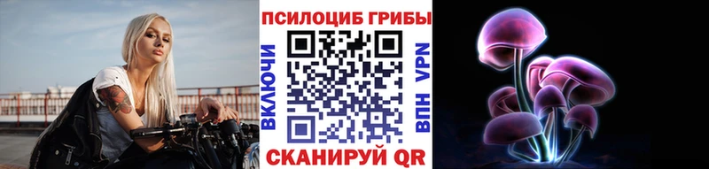 цены наркотик KRAKEN ТОР Псилоцибиновые грибы GOLDEN TEACHER Морозовск